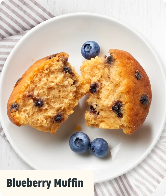 Blueberry Muffin